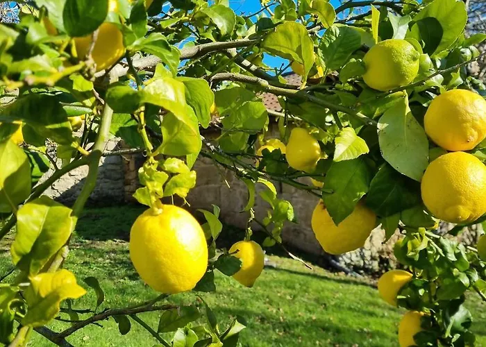 Terranam Θέρετρο Catoira