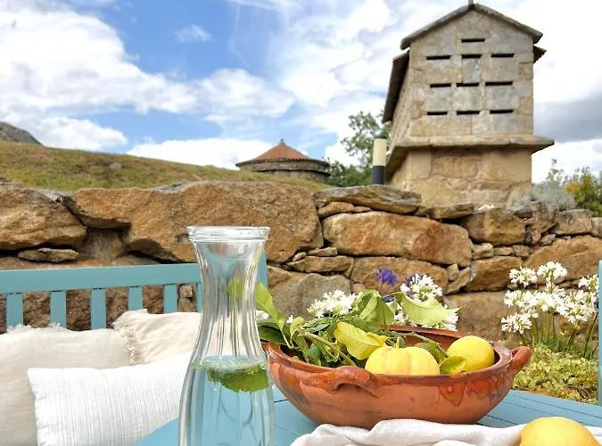 リゾート Terranam